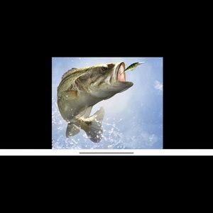 Meet your Posher, Braydon